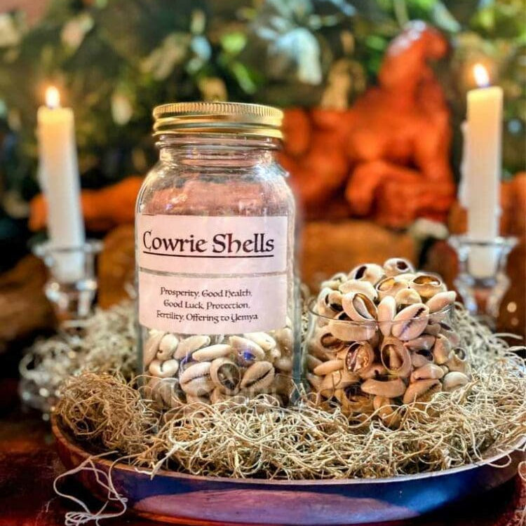 Cowrie Shells – Bohemi Chic